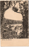 STEVENSON Robert Louis - Autograph Letter Signed while in Vailima to a doctor and member of the London Missionary Society